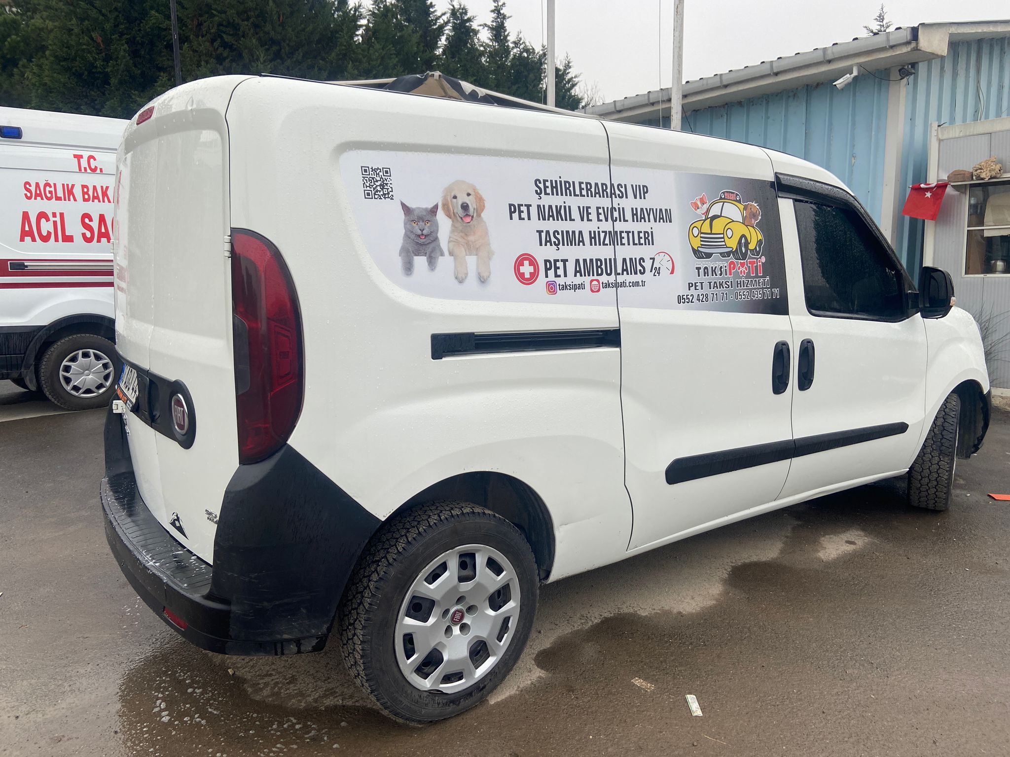 Pet Transfer Taşımacılığı Nedir?