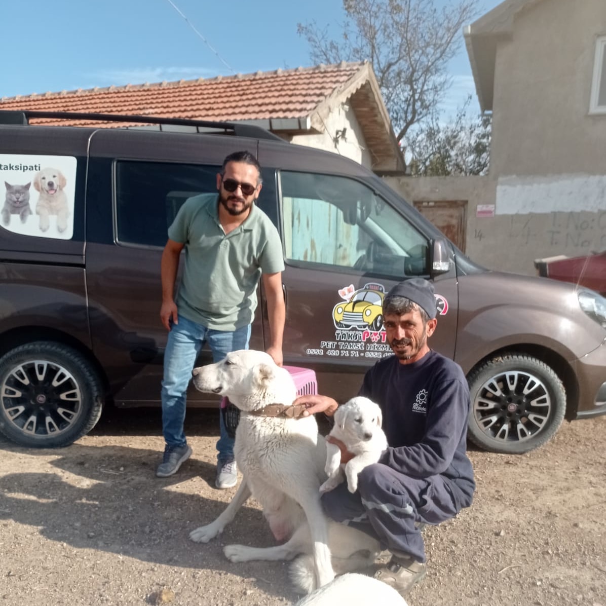 Pet Taksi Transfer Hizmeti